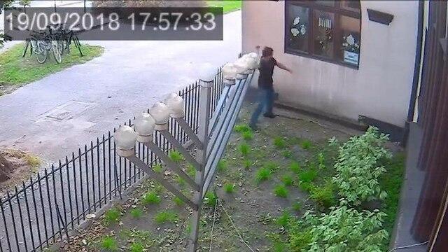 Кадр видеозаписи