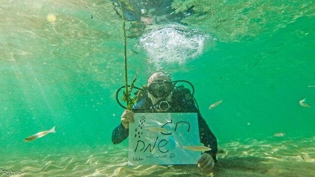 Фото: Ritvo Photography