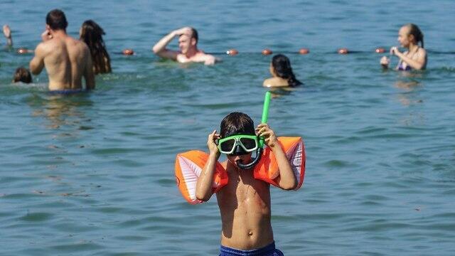 На побережье Кинерета. Фото: Муниципальное объединение Кинерет (צילום: איגוד ערים כינרת) На побережье Кинерета. Фото: Муниципальное объединение Кинерет