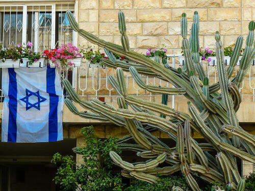 Фото: Jose HERNANDEZ Camera 51 shutterstock