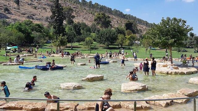 Заповедник Мааян-Харод. Фото: Ракефет Шалев (צילום: רקפת שלו רשות הטבע והגנים) Заповедник Мааян-Харод. Фото: Ракефет Шалев