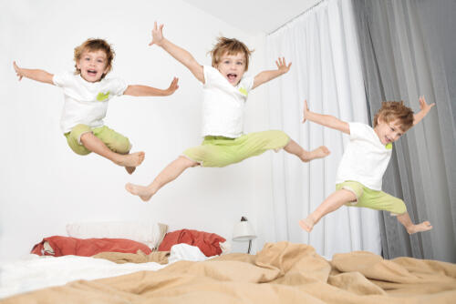 Фото: shutterstock