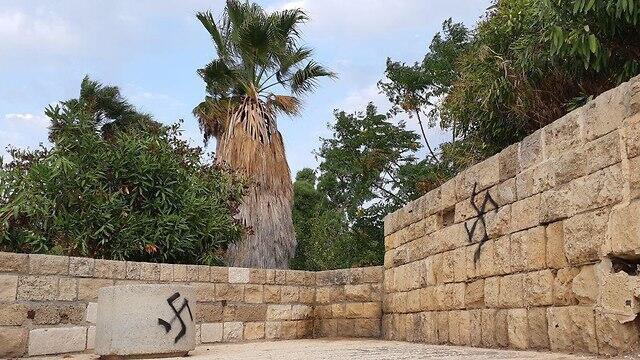 Фото: Амит Хубер (צילום: עמית הובר) Фото: Амит Хубер