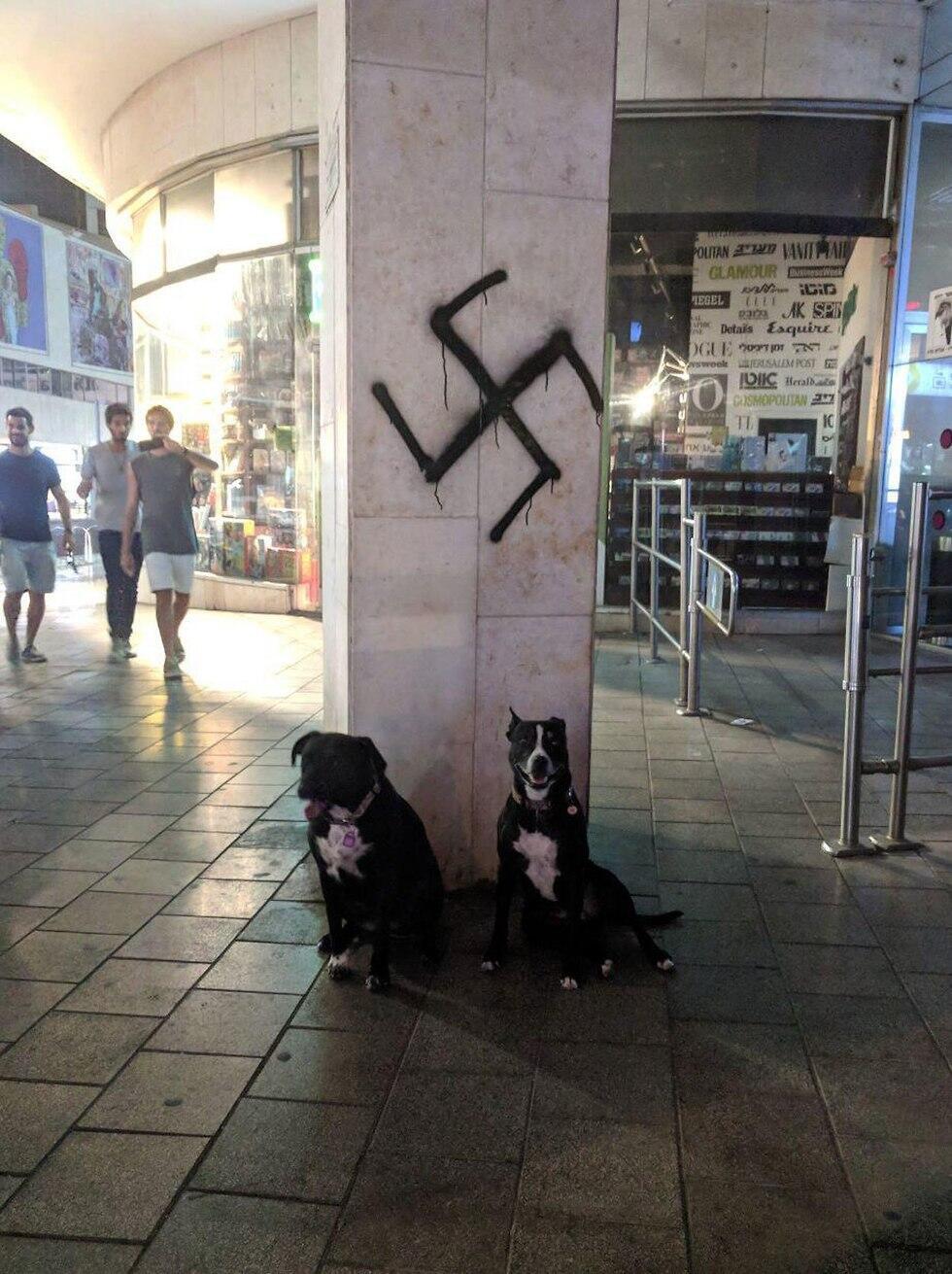 Свастики в Старом Яффо. Фото: Амит Хубер (צילום: שני רבינאוויטש) Свастики в Старом Яффо. Фото: Амит Хубер