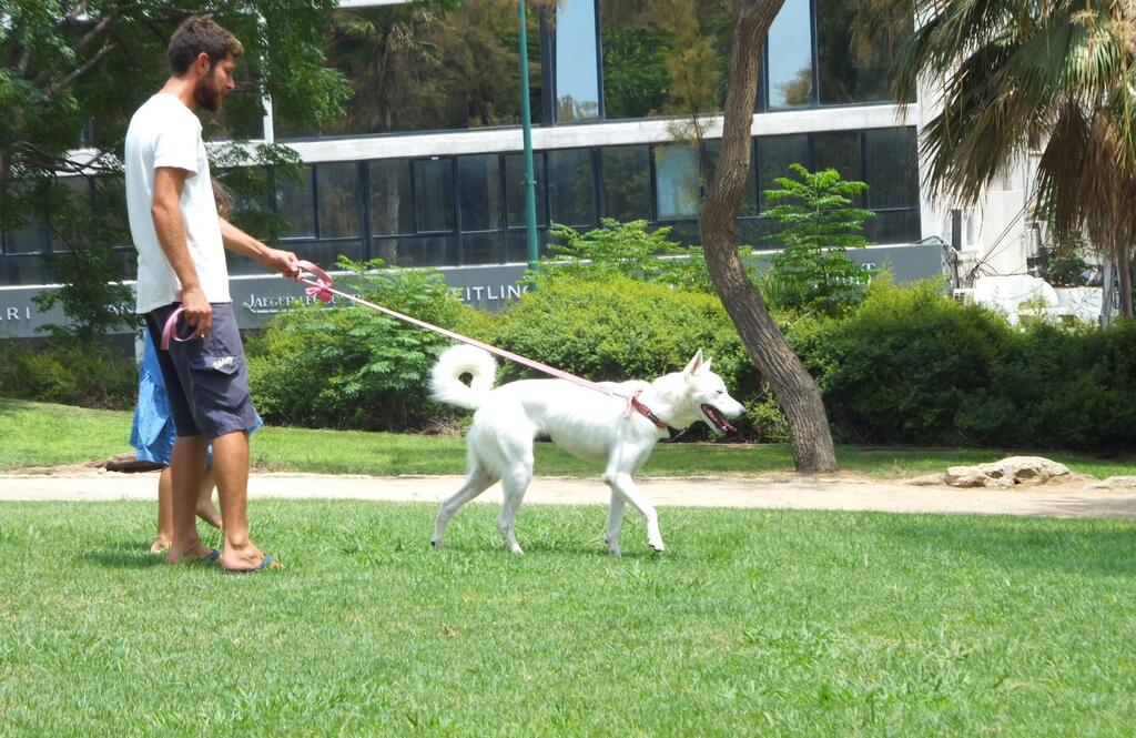 Фото: Леон Левитас (Фото: Леон Левитас) Фото: Леон Левитас