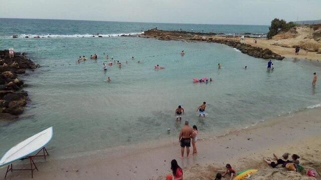 Фото: пресс-служба Управления национальных заповедников и парков