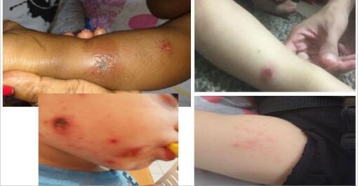 Фото: родительский комитет детского сада (Фото: родительский комитет детского сада) Фото: родительский комитет детского сада