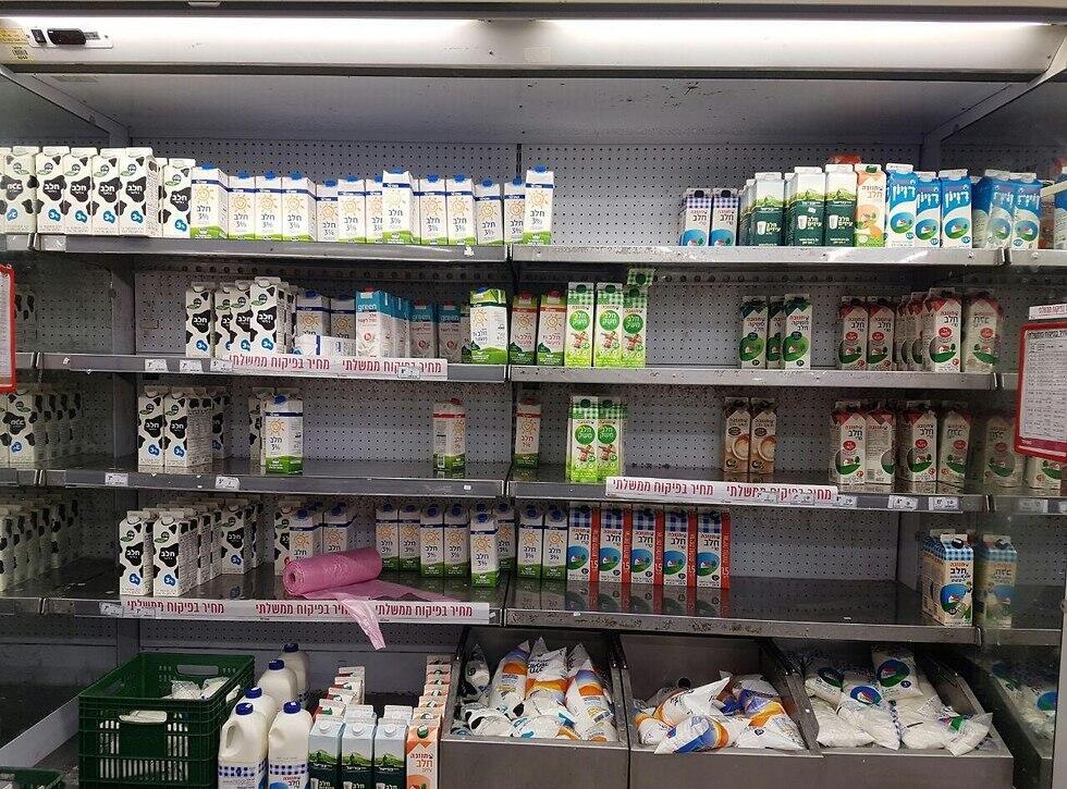 Фото: Мейрав Кристал (צילום: מירב קריסטל) Фото: Мейрав Кристал