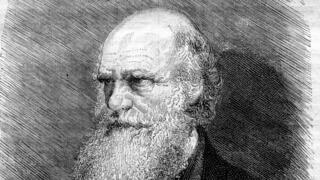 צ'ארלס דרווין