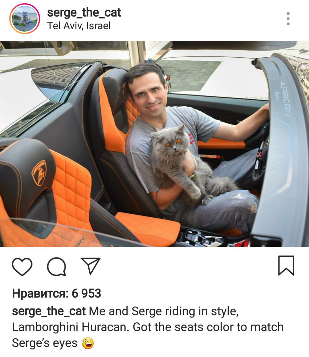 Серж катается в "Ламборджини" (Кот Серж, фото со страницы в инстаграме) Серж катается в "Ламборджини"