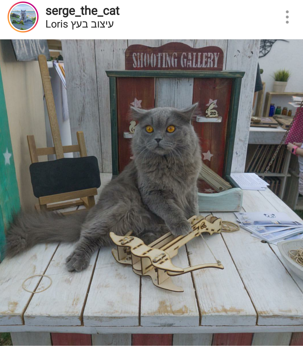 Кот Серж, фото со страницы в инстаграме