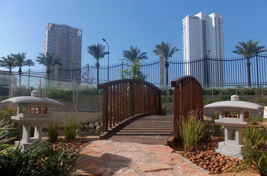 Фото: Леон Левитас (Фото: Леон Левитас) Фото: Леон Левитас