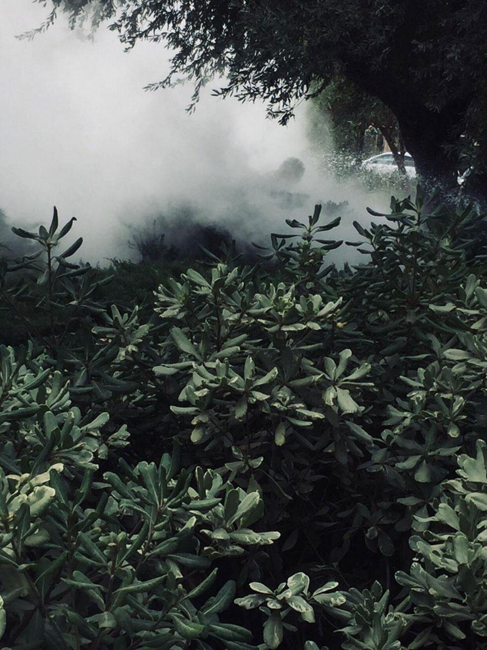 Место происшествия. Фото: Моше Мизрахи (צילום: משה מזרחי) Место происшествия. Фото: Моше Мизрахи