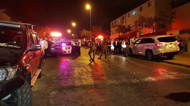 Фото: Эли Мандельбаум (צילום: אלי מנדלבאום) Фото: Эли Мандельбаум