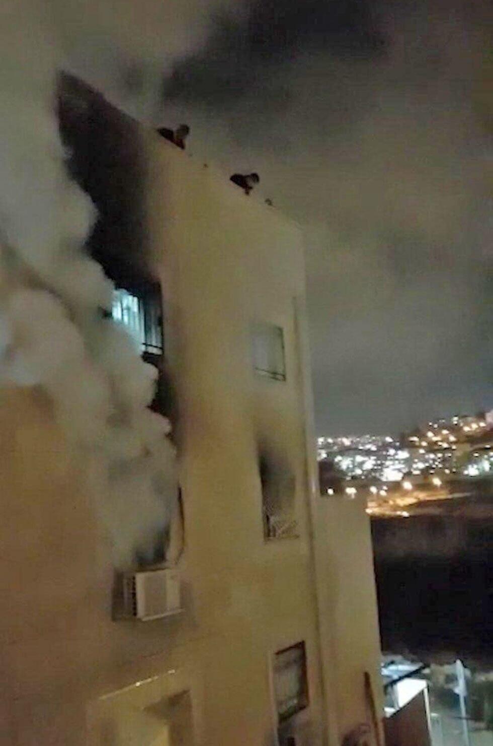 Фото: Шими (צילום: שימי) Фото: Шими