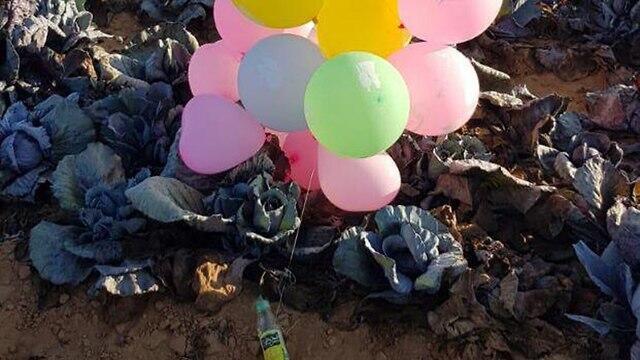 Incendiary balloons in Eshkol Regionnullnull Incendiary balloons in Eshkol Region