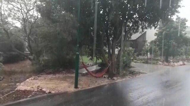 Фото: Анат Зисович (צילום: ענת זיסוביץ') Фото: Анат Зисович