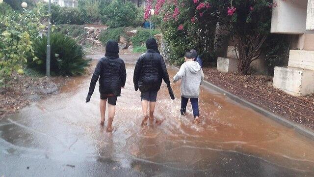 Фото: Анат Зисович (צילום: ענת זיסוביץ') Фото: Анат Зисович