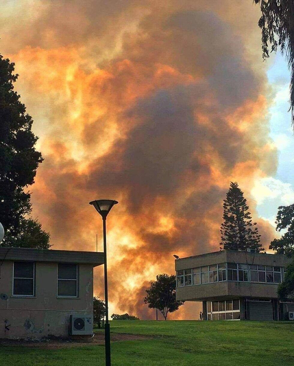 Fire at Kibbutz Zikim (צילום: אתי דויטש) Fire at Kibbutz Zikim