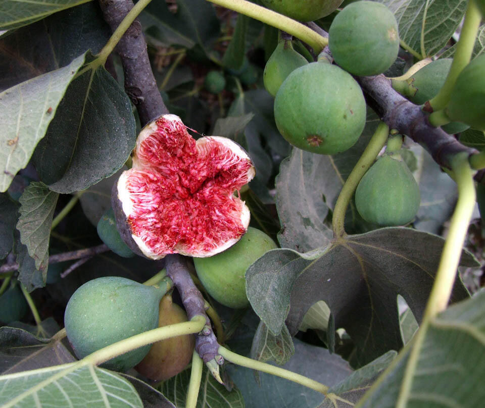  Фото: Сара Гольд