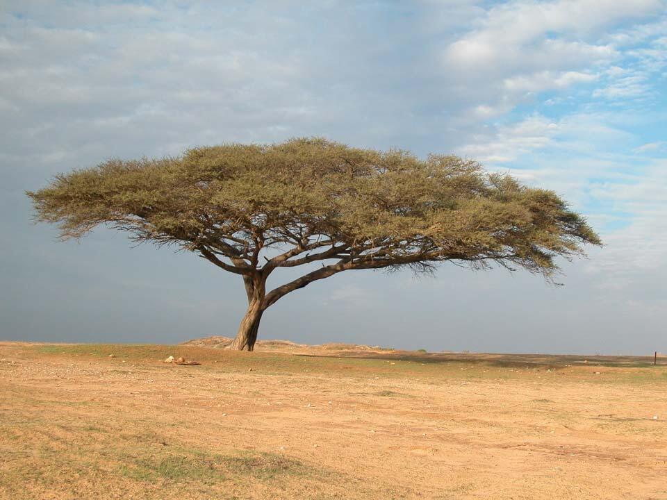  Фото: Яков Школьник