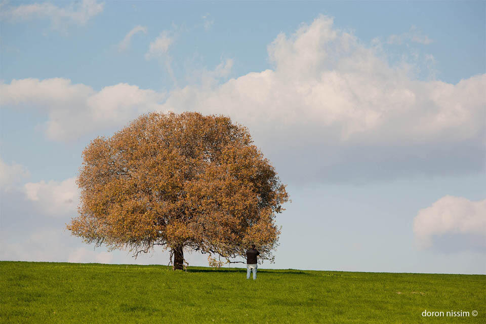 Фото: Дорон Нисим