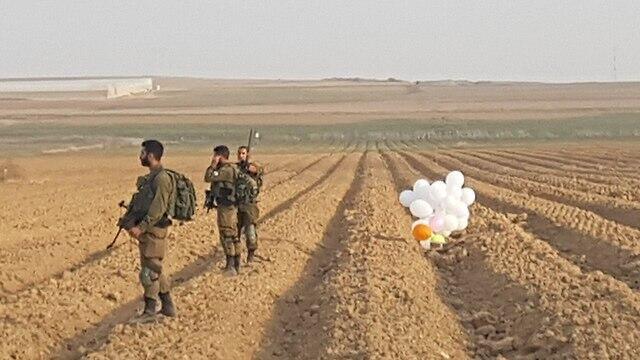 Фото: Матан Цури