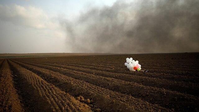 צילום: רויטרס