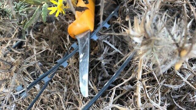 Knife found at the scene