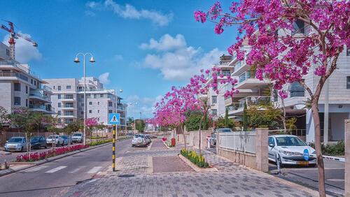 Нес-Циона. Фото: verbaska, shutterstock