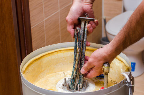 Фото: shutterstock (Фото: shutterstock) Фото: shutterstock