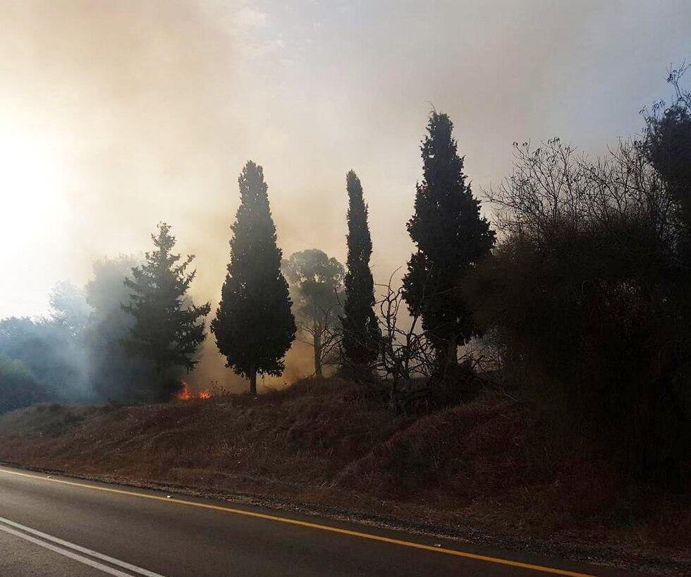 Пожар в лесу Гаврам