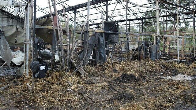 Фото: Моти Кимхи (צילום: מוטי קמחי) Фото: Моти Кимхи