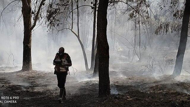 Пожары в приграничной полосе. Фото: Йоав Вайс