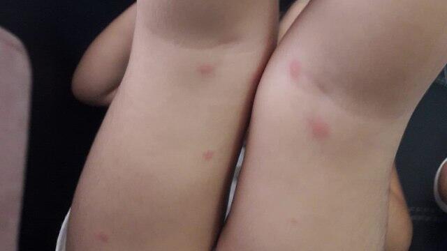 Фото из частного альбома (אלבום פרטי) Фото из частного альбома