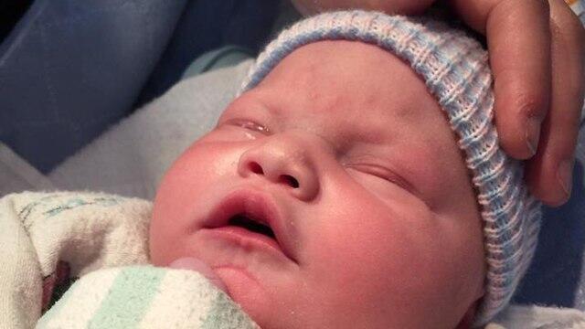 Погибшая Элайза Роуз Погибшая Элайза Роуз