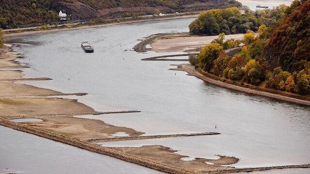 Обмелевший Рейн. Фото: АР
