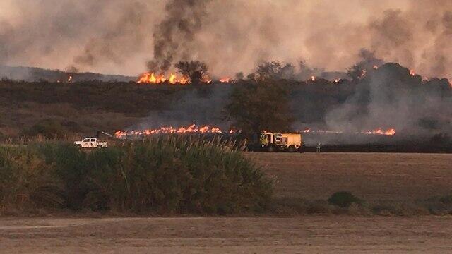 Fire near Kibbutz Or HaNer caused by incendiary balloon from Gaza