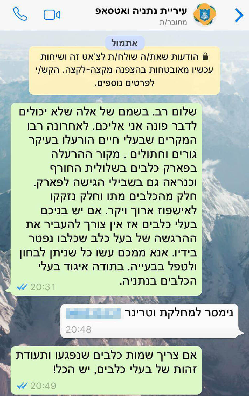 Переписка владельцев с мэрией (Фото из личного архива) Переписка владельцев с мэрией