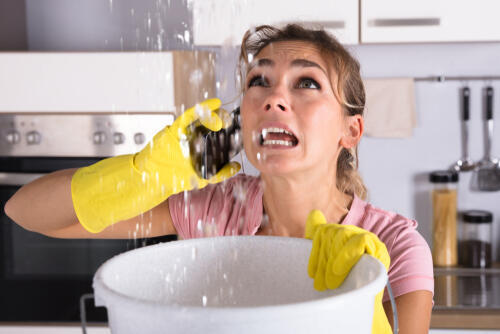 Фото: shutterstock