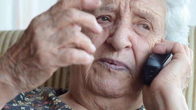  Фото: shutterstock