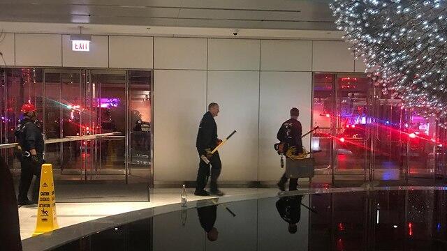 Фото: MCT (צילום: MCT) Фото: MCT