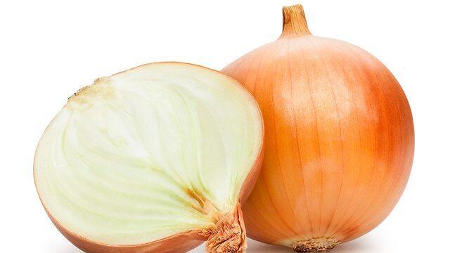 Фото: shutterstock (צילום: shutterstock) Фото: shutterstock