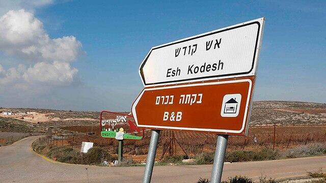 Esh Kodesh outpost in the West Bank (צילום: AFP) Esh Kodesh outpost in the West Bank