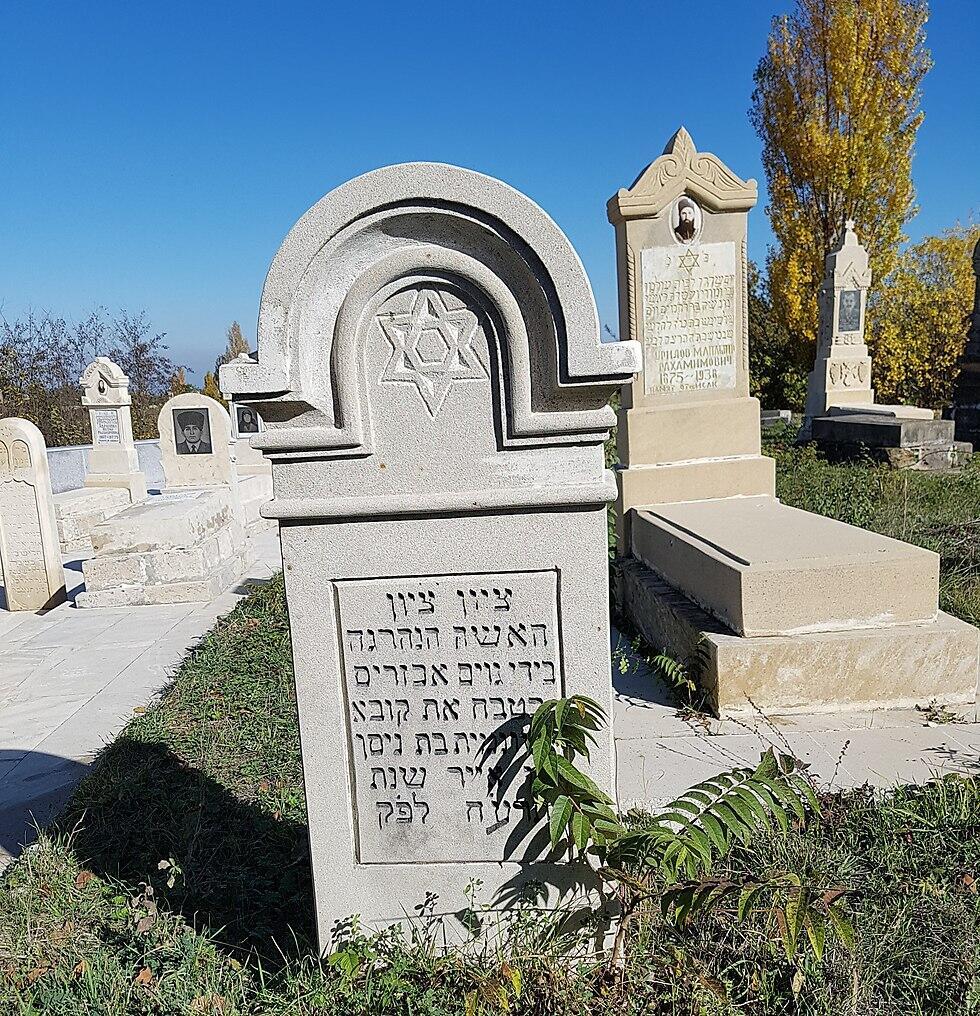 צילום: יואב קרן