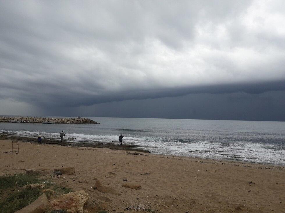 Фото: Ами Бускила