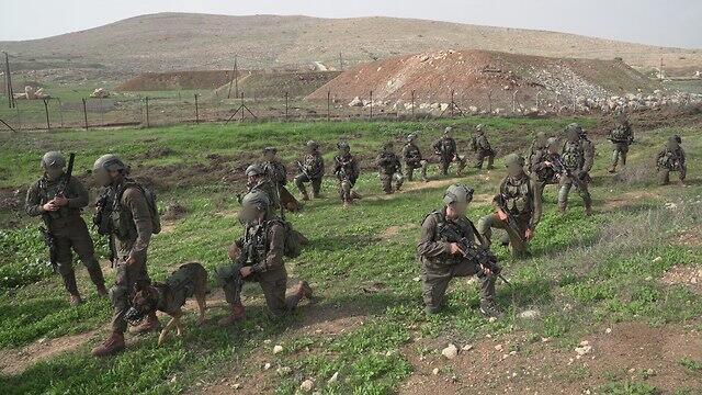 Commando Brigade in training