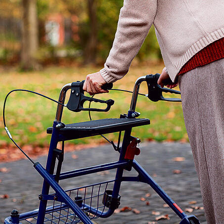 Фото: shutterstock