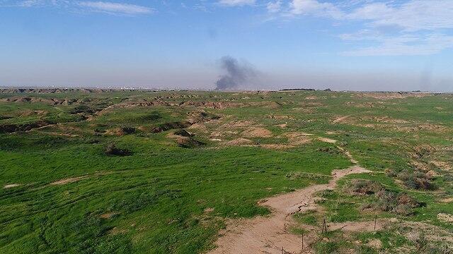 Заповедник Беэри оживает, еще недавно здесь было пепелище. Фото: Dronimagebank