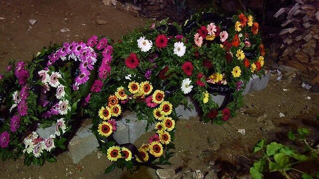 Фото: Авиягу Шапира (צילום: אביהו שפירא) Фото: Авиягу Шапира